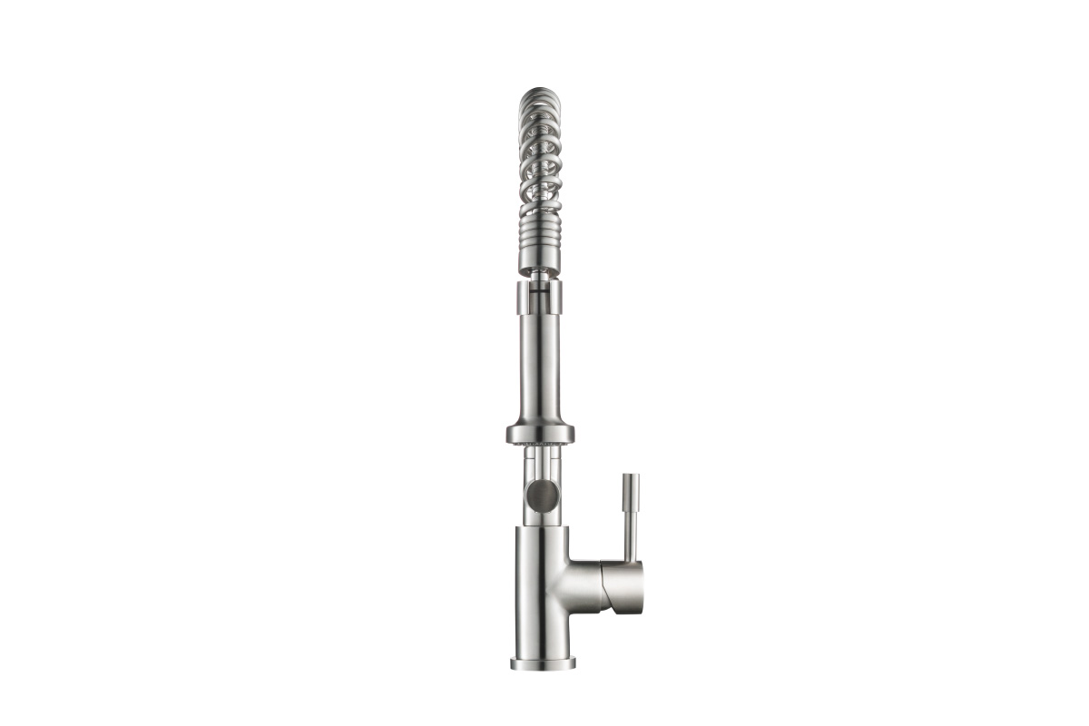 stainless steel spring kitchen faucet