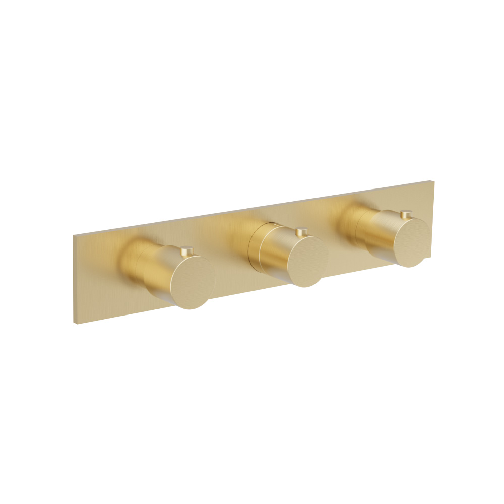 Trim For Horizontal Thermostatic Valve with 2 Volume Controls | Satin Brass PVD
