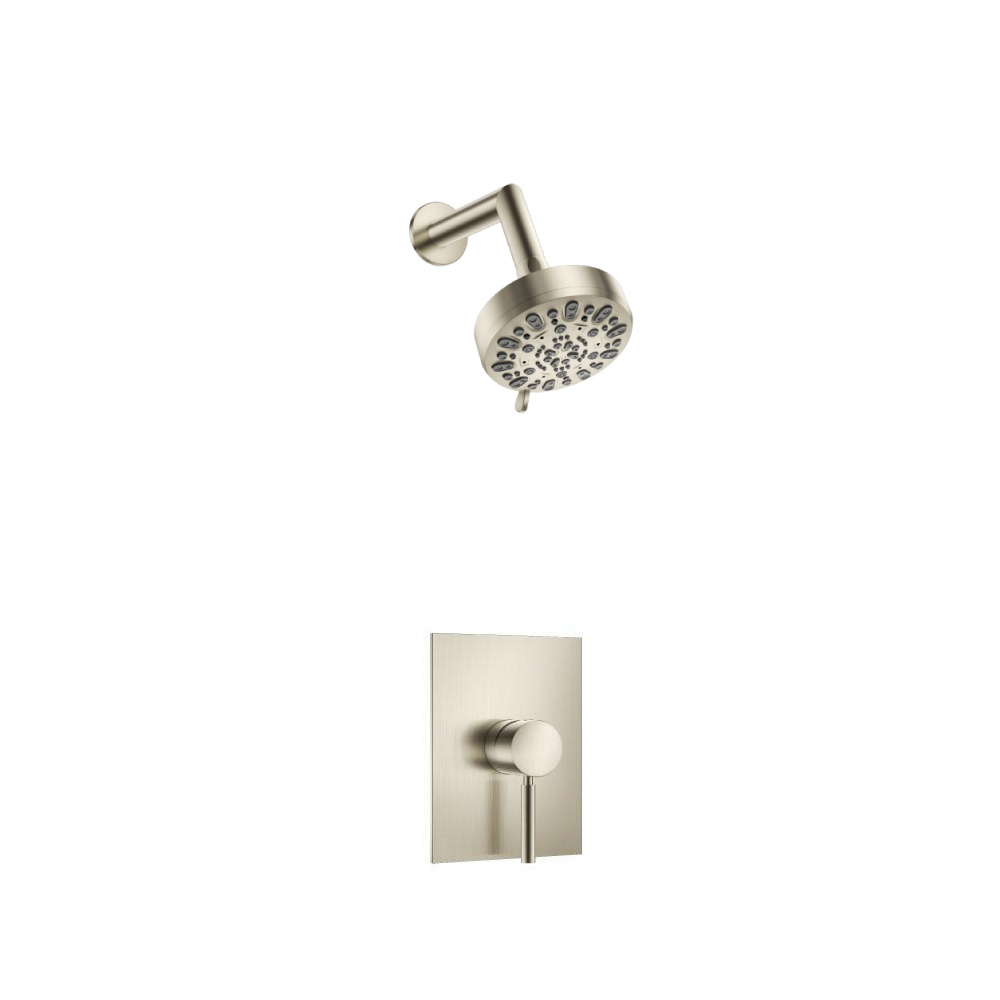 Single Output Shower Set With ABS Shower Head & Arm | Brushed Nickel PVD