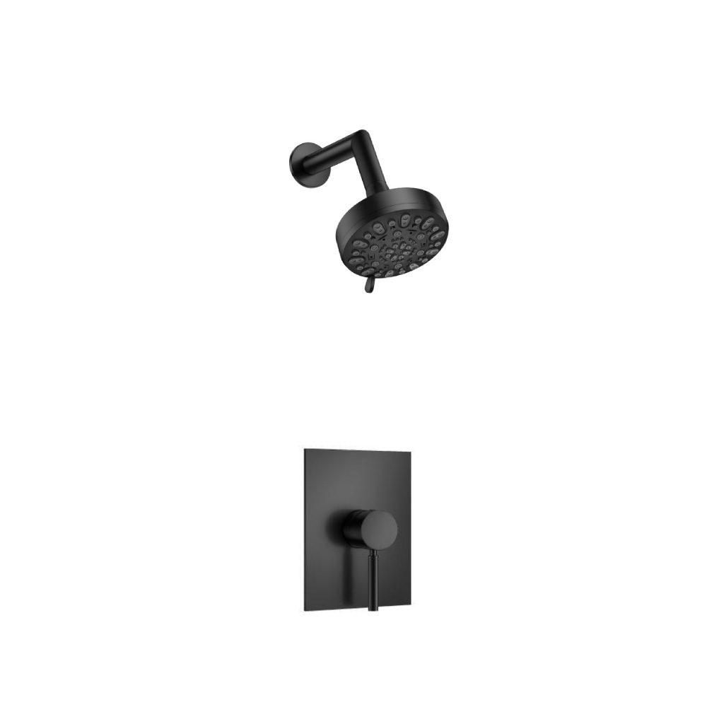 Single Output Shower Set With ABS Shower Head & Arm | Matte Black