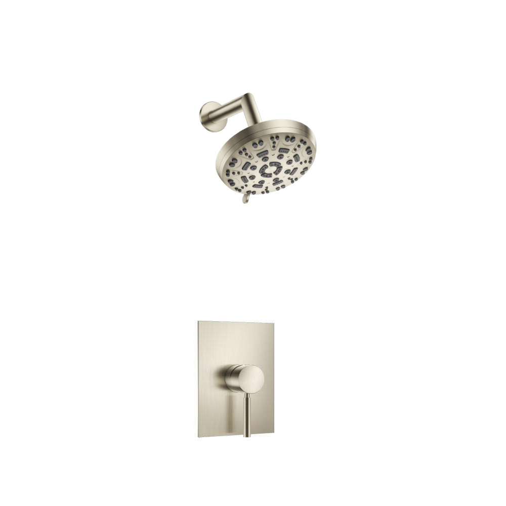 Single Output Shower Set With ABS Shower Head & Arm | Brushed Nickel PVD