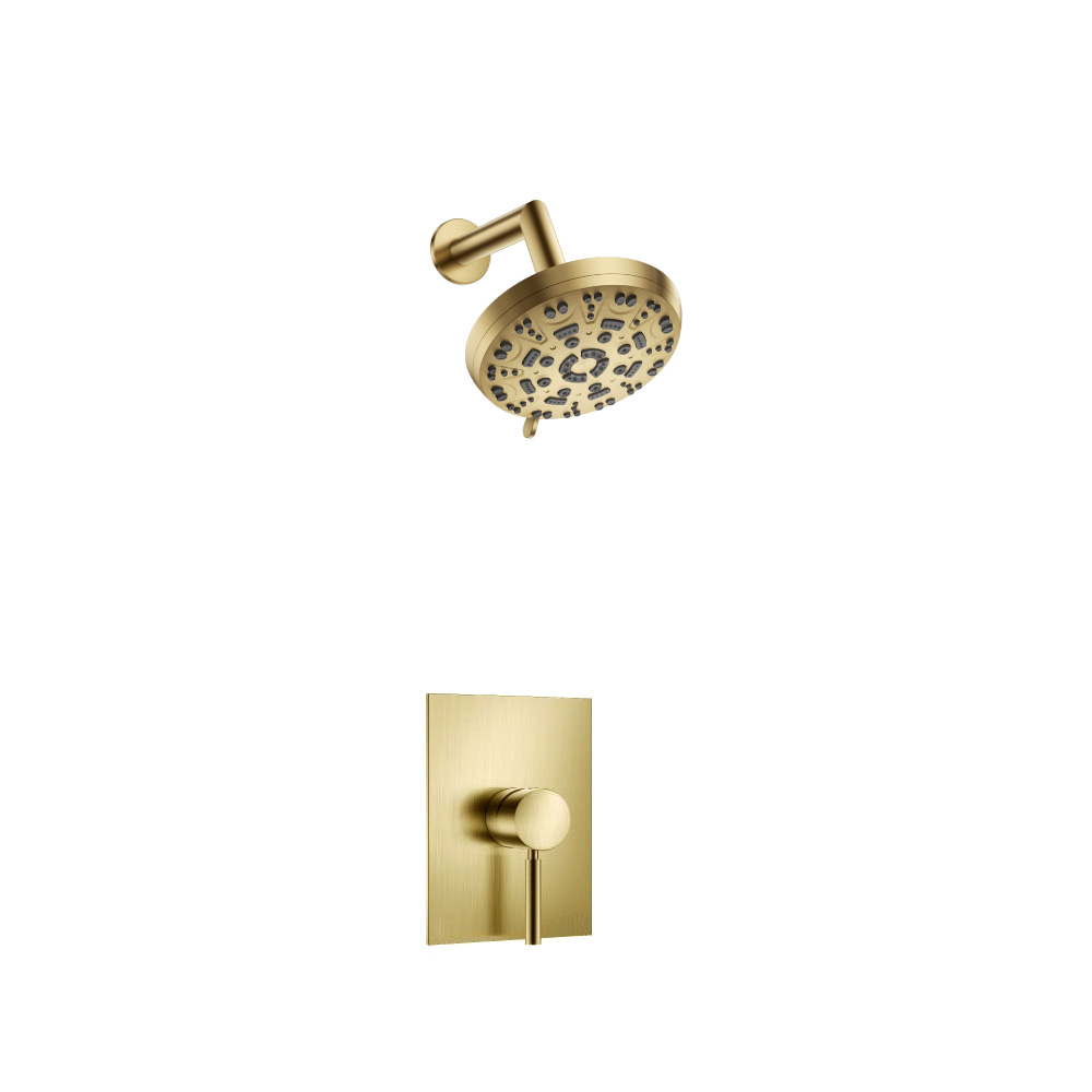 Single Output Shower Set With ABS Shower Head & Arm | Satin Brass PVD