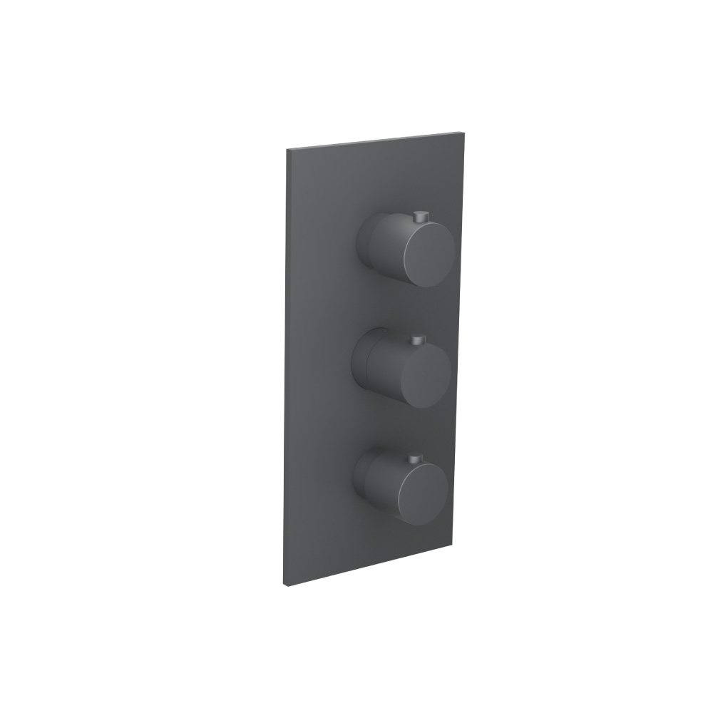 Trim For Thermostatic Valve | Rock Grey