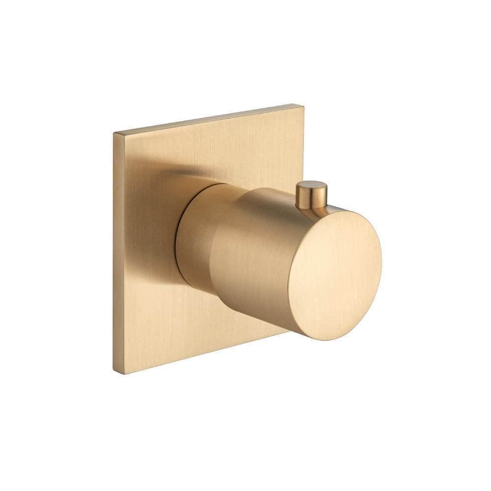 Trim For Volume Control | Brushed Bronze PVD
