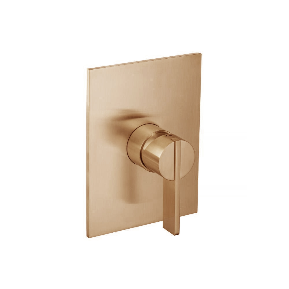 Shower Trim With Pressure Balance Valve | Brushed Bronze PVD