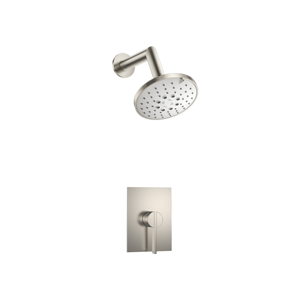 Single Output Shower Set With ABS Shower Head & Arm | Brushed Nickel PVD
