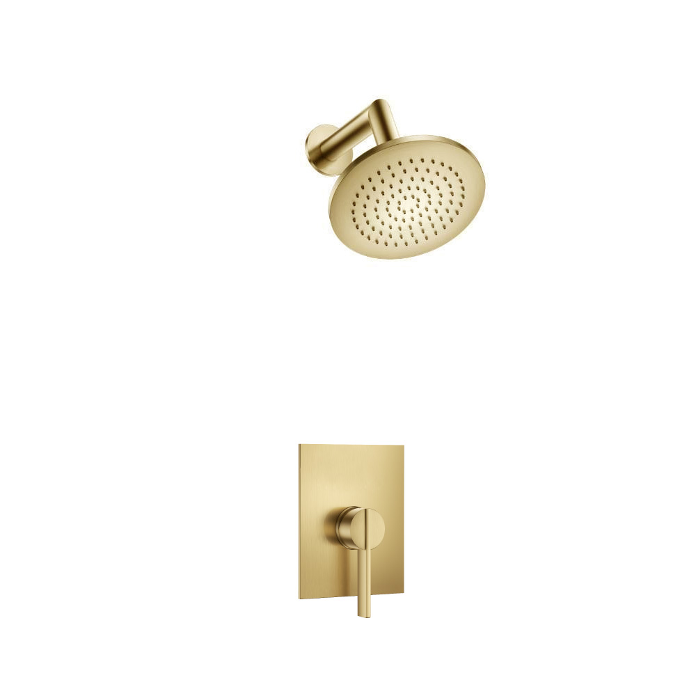 Single Output Shower Set With Brass Shower Head & Arm | Satin Brass PVD