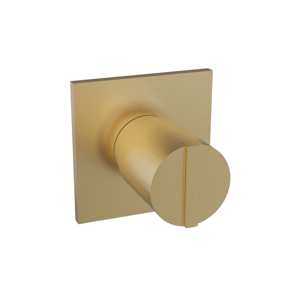 3/4" Volume Control & Trim | Satin Brass PVD