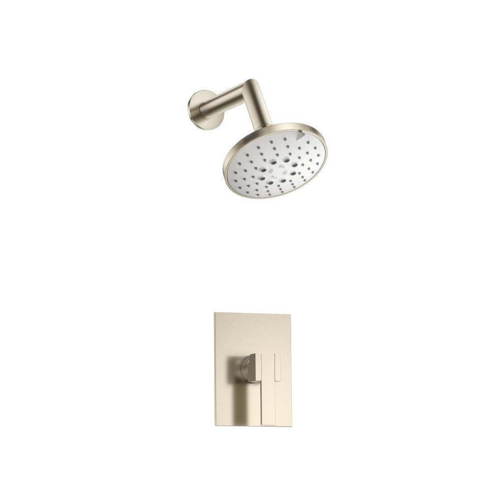 Single Output Shower Set With ABS Shower Head & Arm | Brushed Nickel PVD