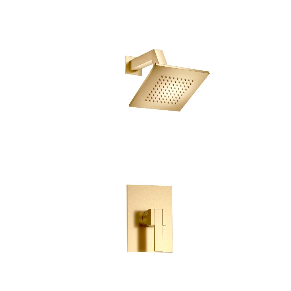 Single Output Shower Set With Brass Shower Head & Arm | Brushed Bronze PVD