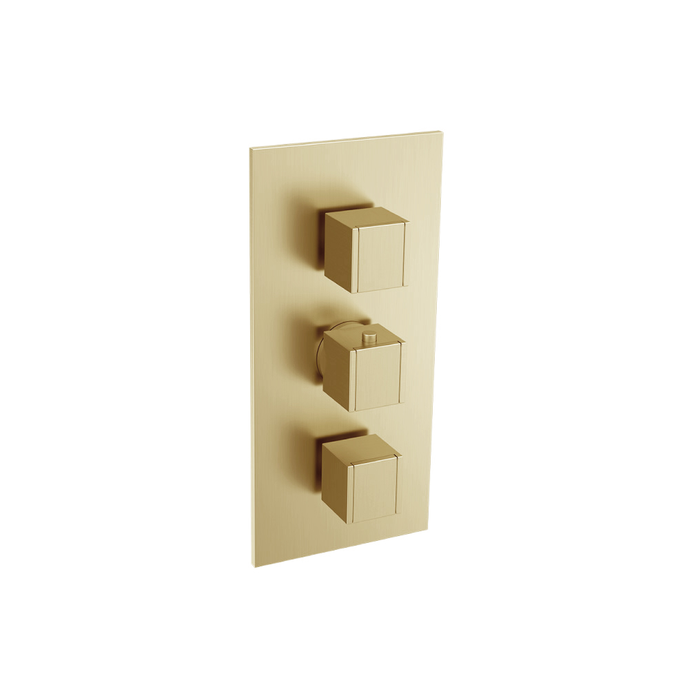 3/4" Thermostatic Valve and Trim - 2 Outputs | Satin Brass PVD