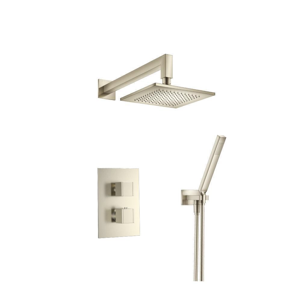 Two Output Shower Set With Shower Head And Hand Held | Brushed Nickel PVD