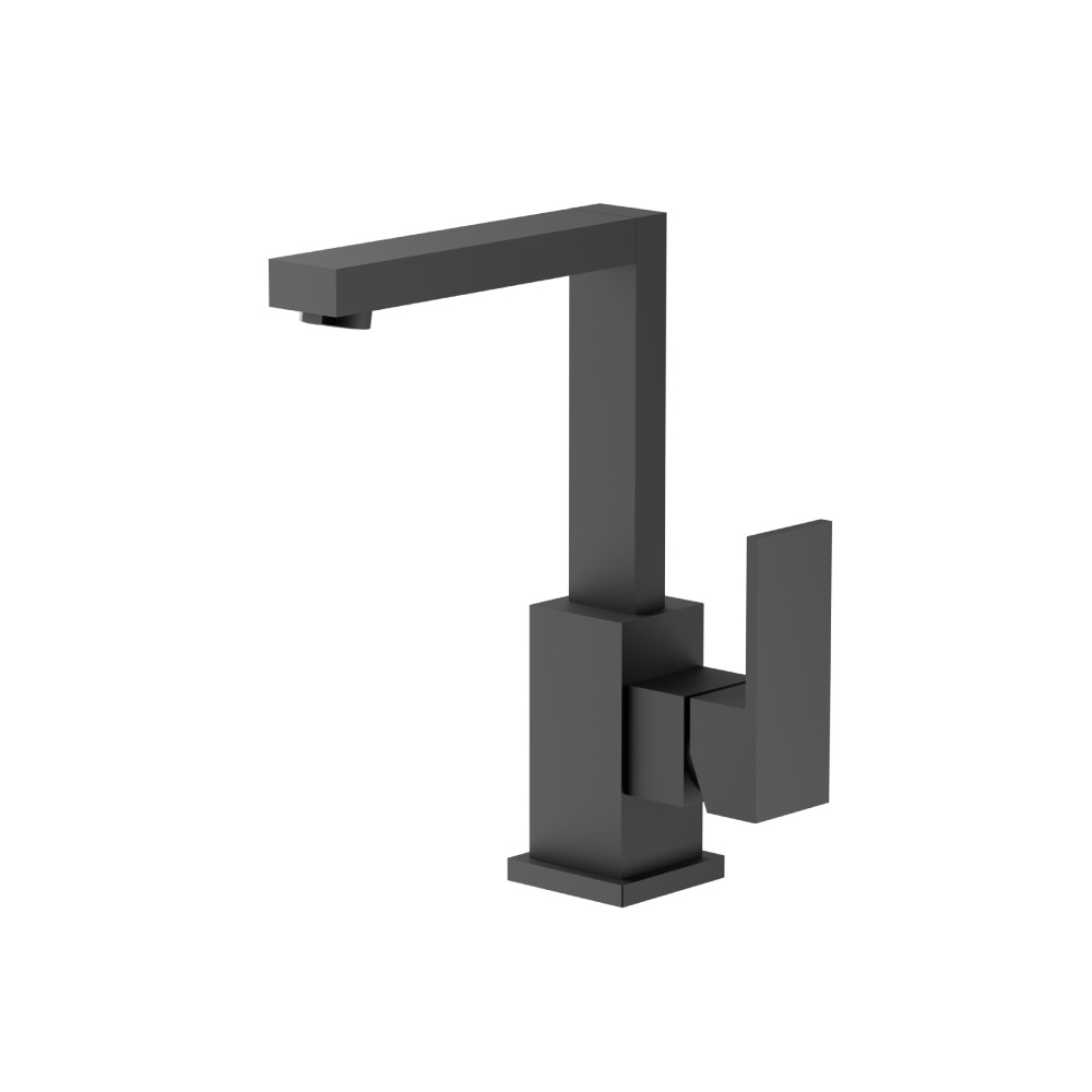 Single Hole Bathroom Faucet - With Swivel Spout | Matte Black