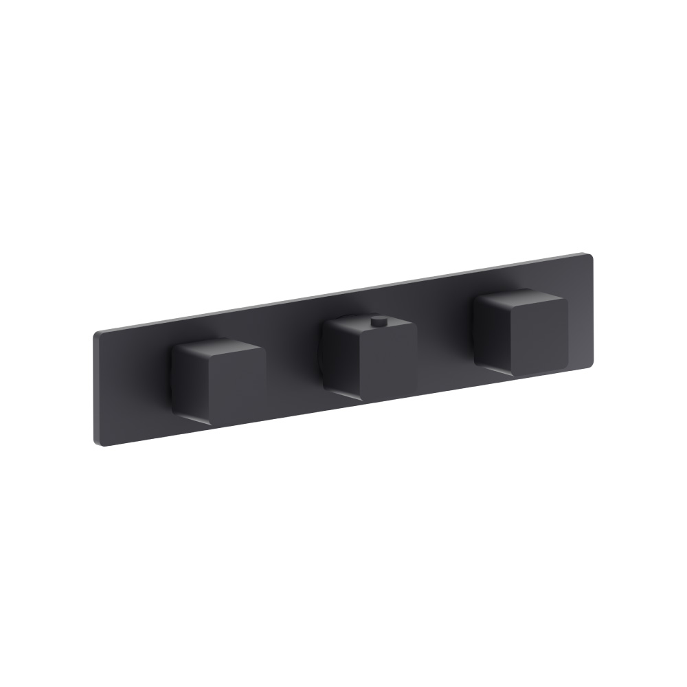 Trim For Horizontal Thermostatic Valve with 2 Volume Controls | Dark Grey