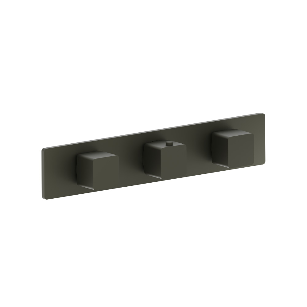 Trim For Horizontal Thermostatic Valve with 2 Volume Controls | Gun Metal Grey