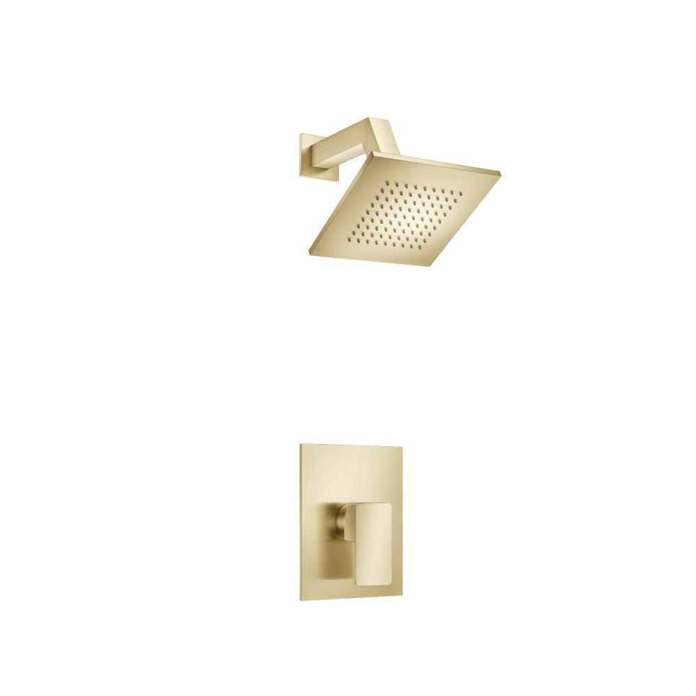 Single Output Shower Set With Brass Shower Head & Arm | Satin Brass PVD