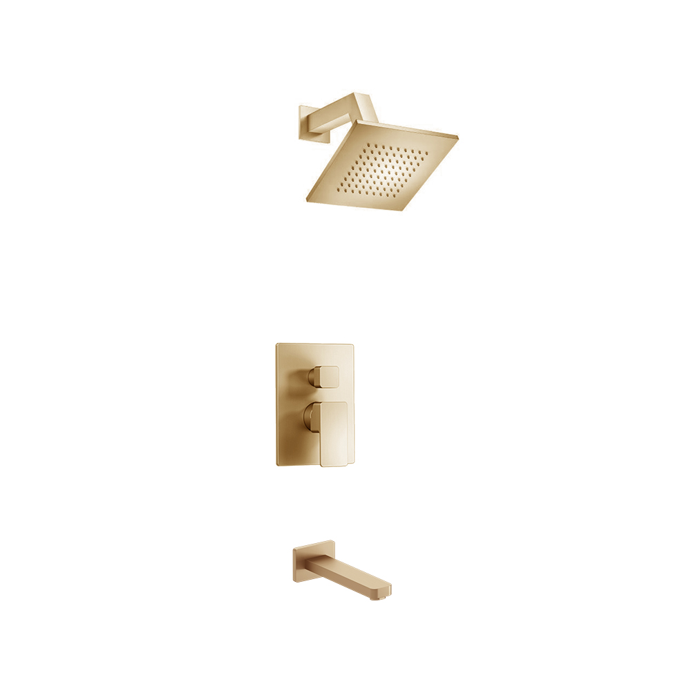 Two Output Shower Set With Shower Head And Tub Spout | Brushed Bronze PVD