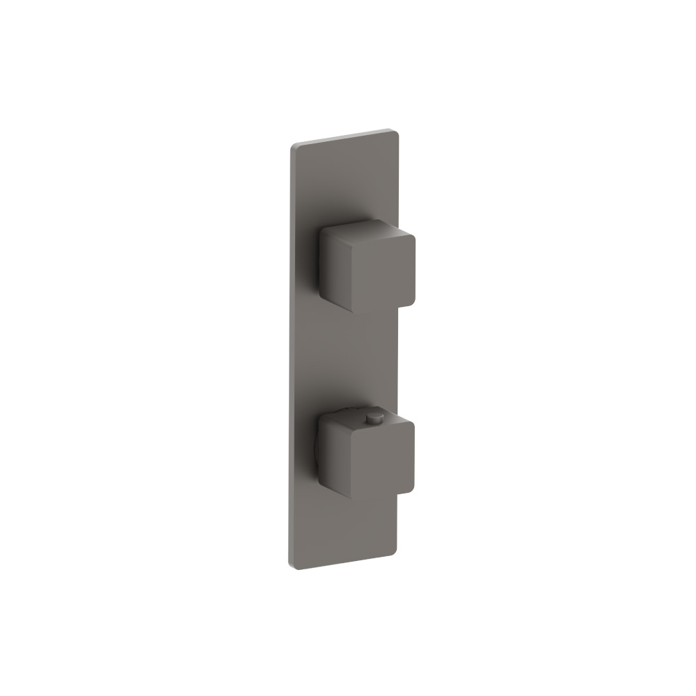 Trim For Thermostatic Valve | Steel Grey