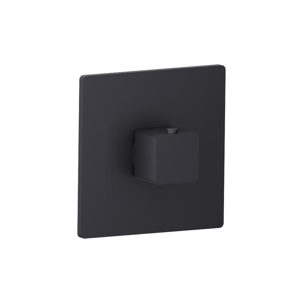 Trim For 3/4" Thermostatic Valve - Use with TVH.4201 | Dark Grey