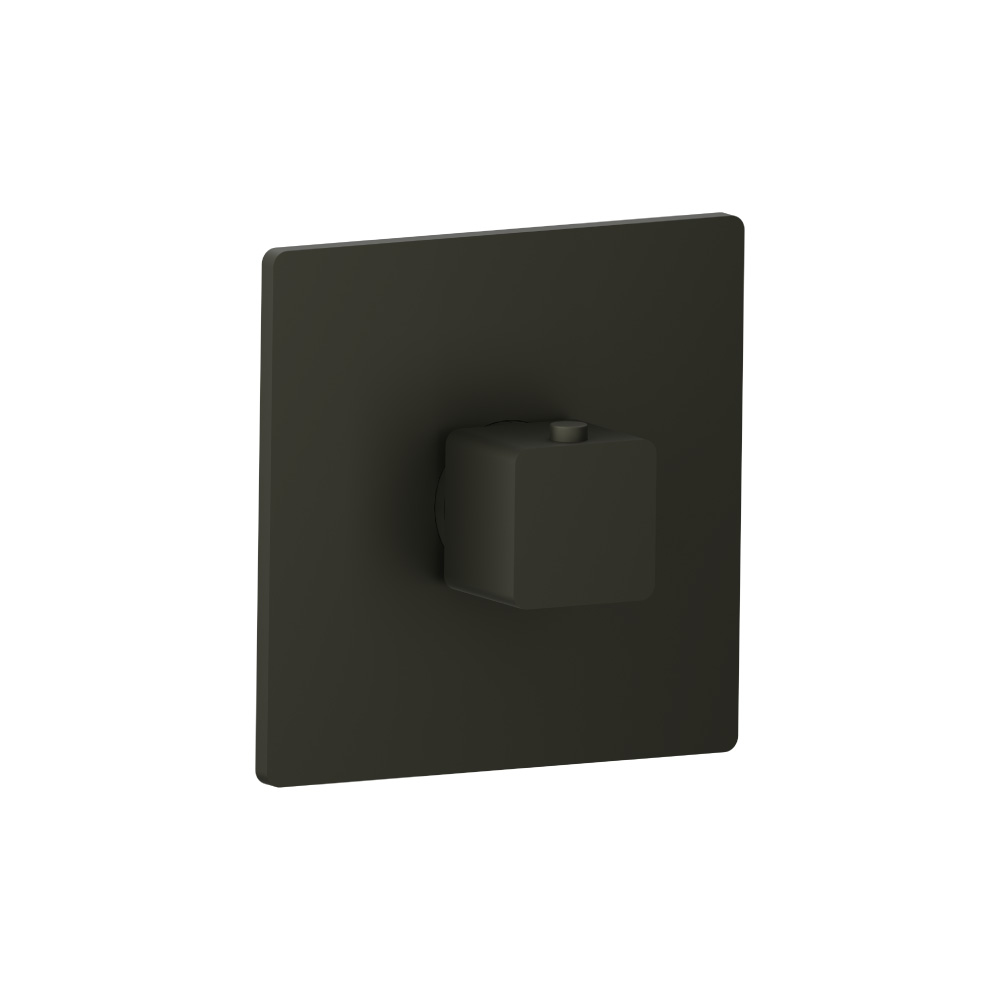 Trim For 3/4" Thermostatic Valve - Use with TVH.4201 | Dark Green