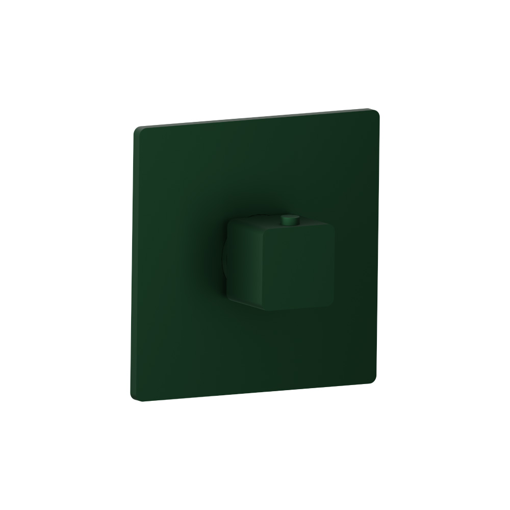 Trim For 3/4" Thermostatic Valve - Use with TVH.4201 | Leaf Green