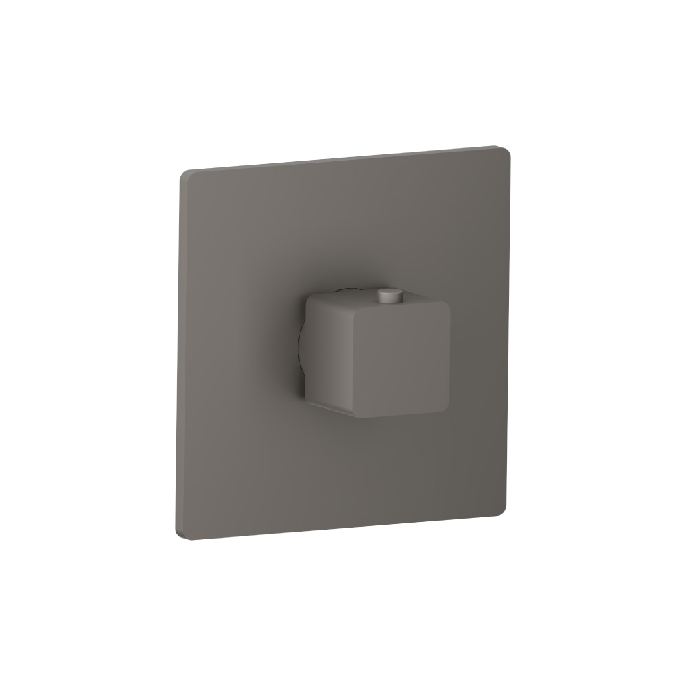 Trim For 3/4" Thermostatic Valve - Use with TVH.4201 | Steel Grey