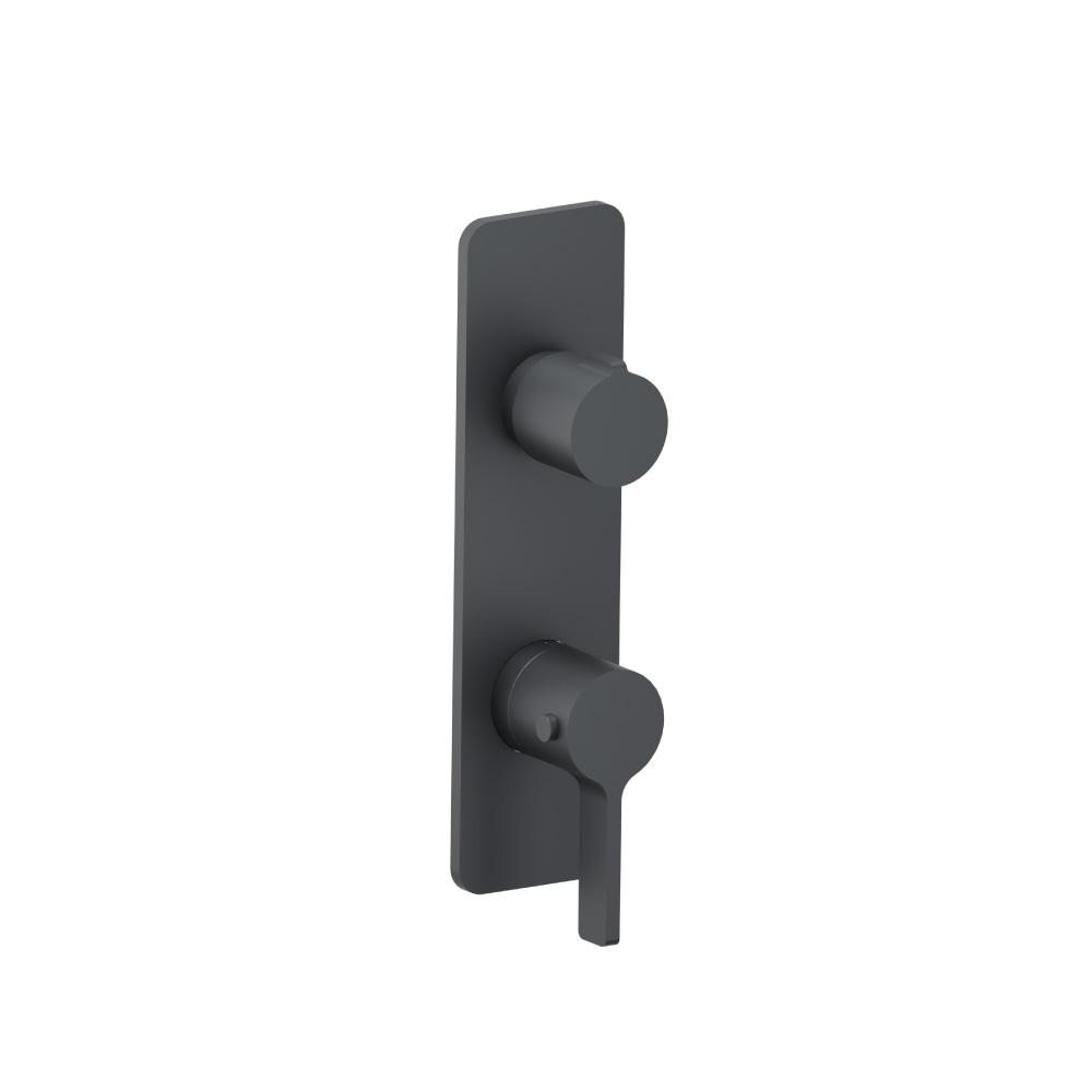 Trim For Thermostatic Valve | Rock Grey