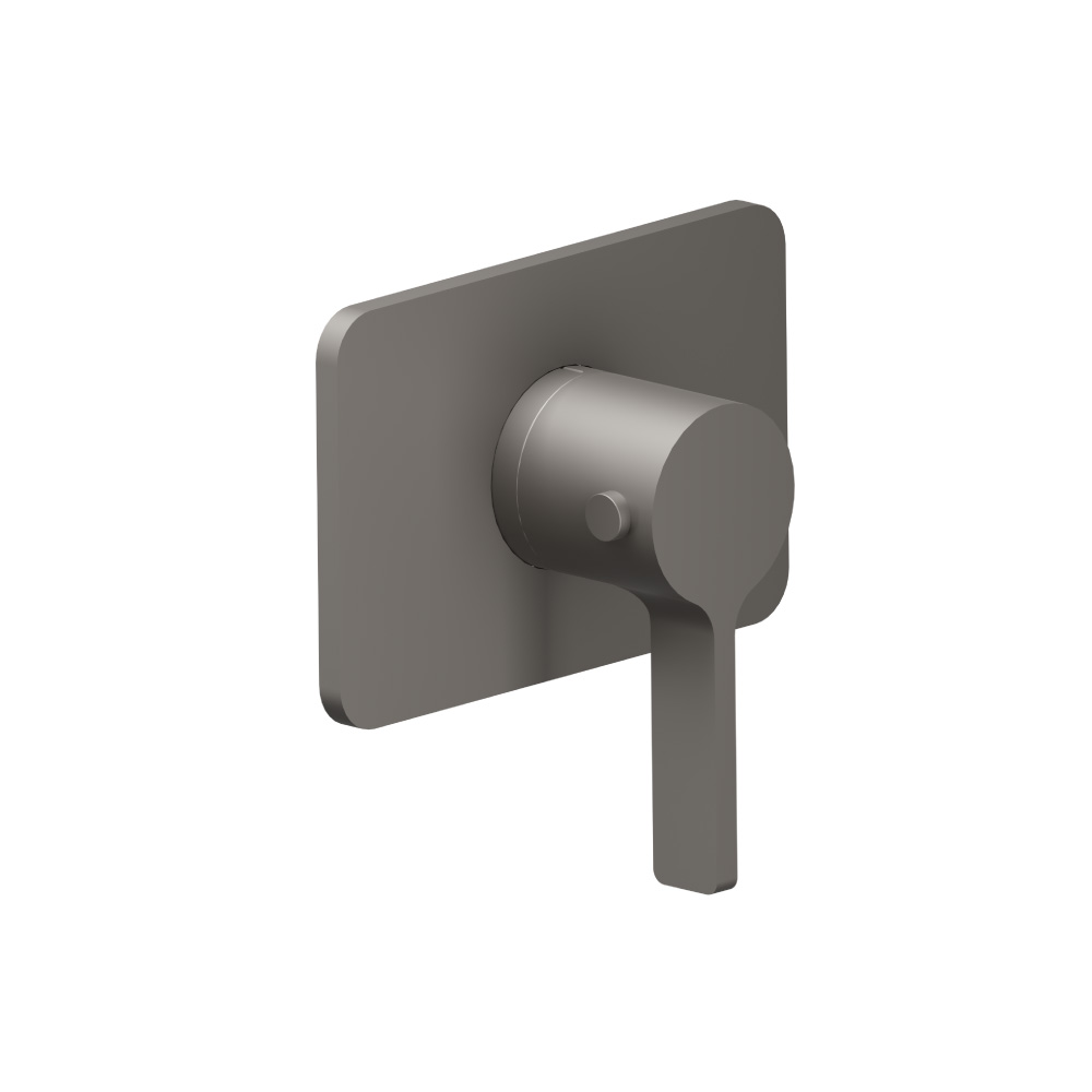 Trim For 3/4" Thermostatic Valve - Use with TVH.4201 | Steel Grey