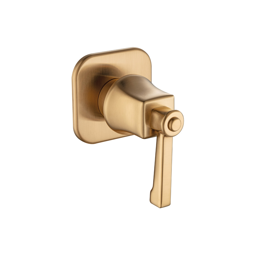 Trim For Volume Control | Brushed Bronze PVD