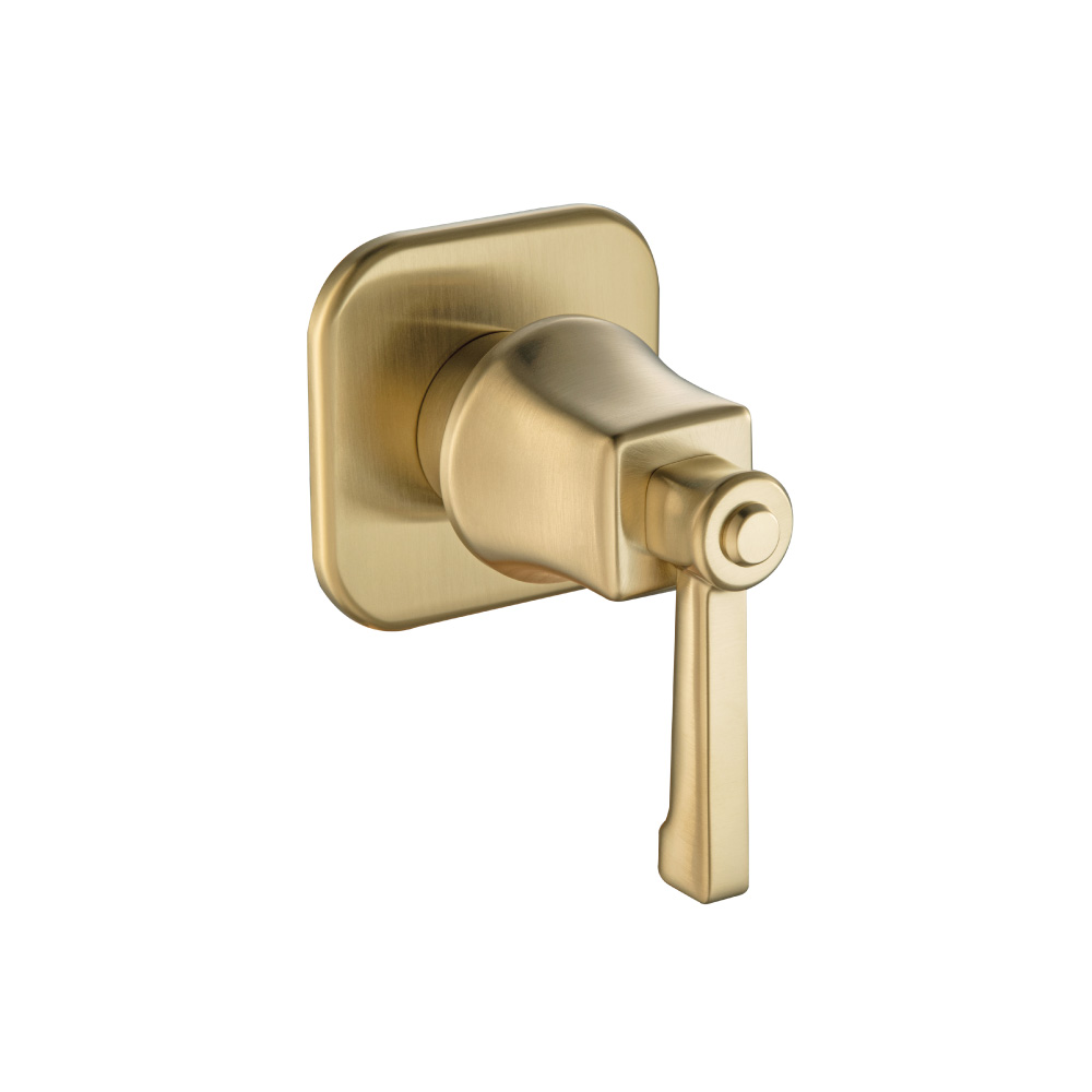 Trim For Volume Control | Satin Brass PVD