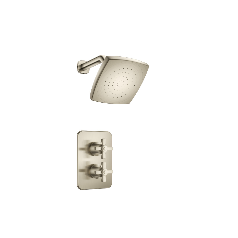 Single Output Shower Set With Shower Head And Arm | Brushed Nickel PVD