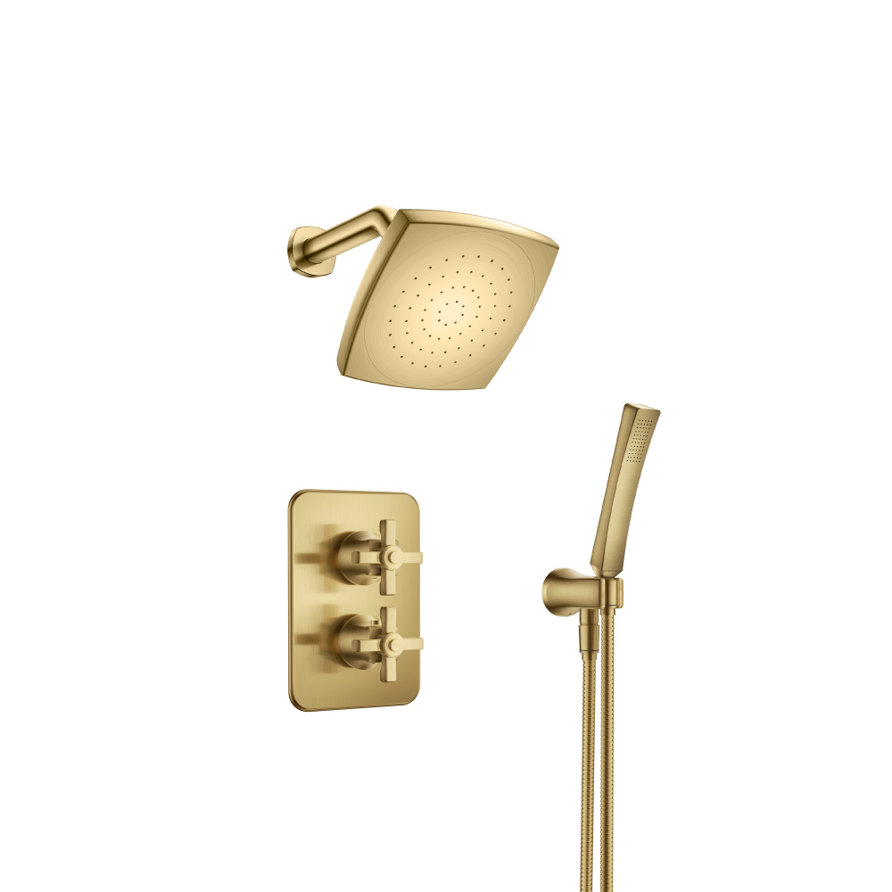 Single Output Shower Set With Shower Head And Arm | Satin Brass PVD
