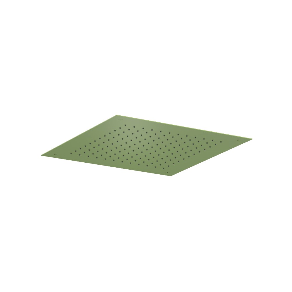 20" Flush Mount Stainless Steel Showerhead / Rainhead | Isenberg Green