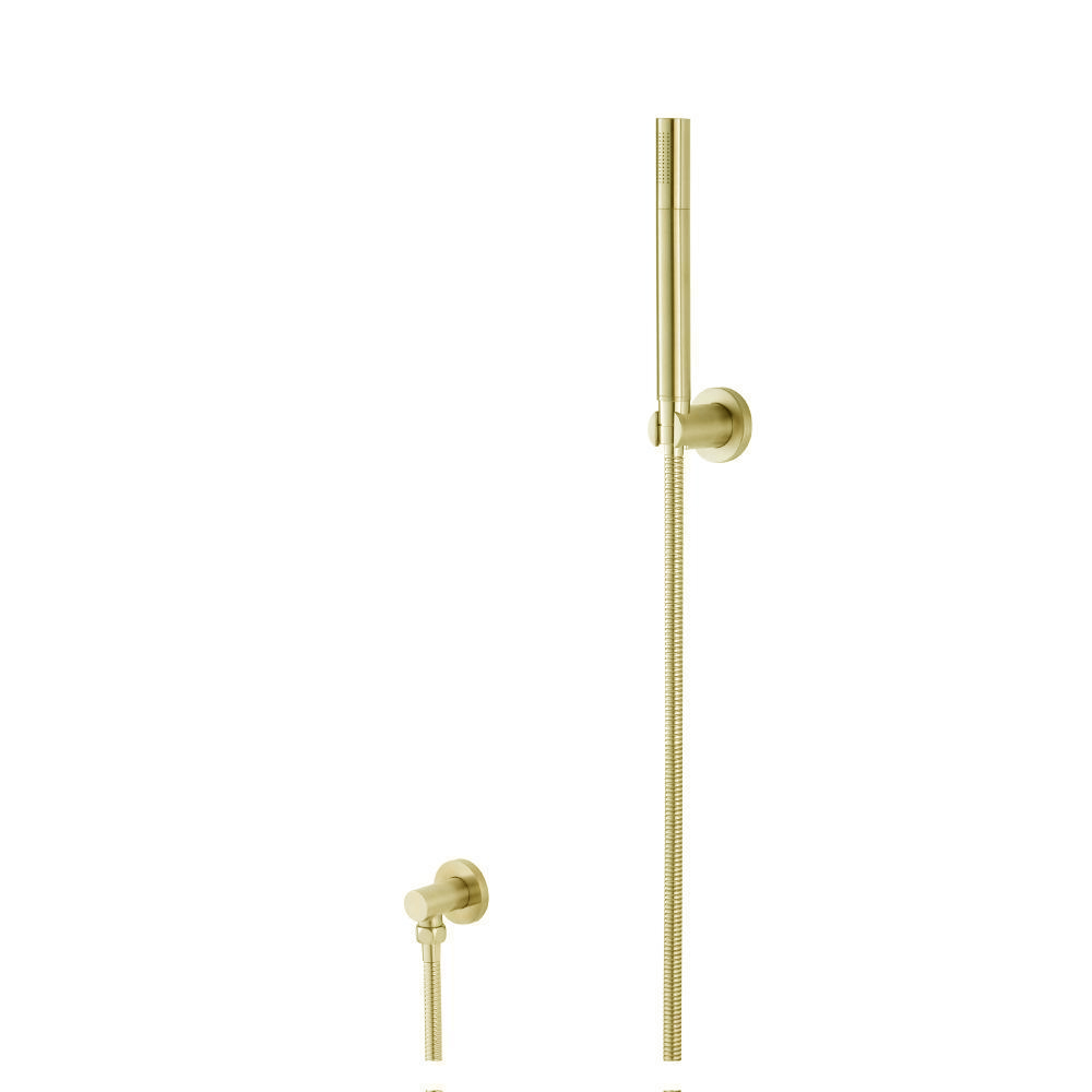 Hand Shower Set With Wall Elbow, Holder and Hose | Satin Brass PVD
