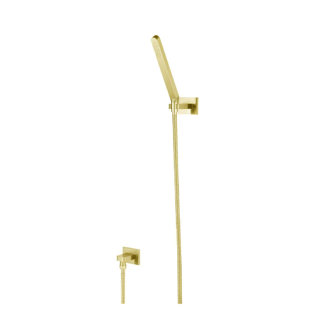 Hand Shower Set With Wall Elbow, Holder and Hose | Satin Brass PVD