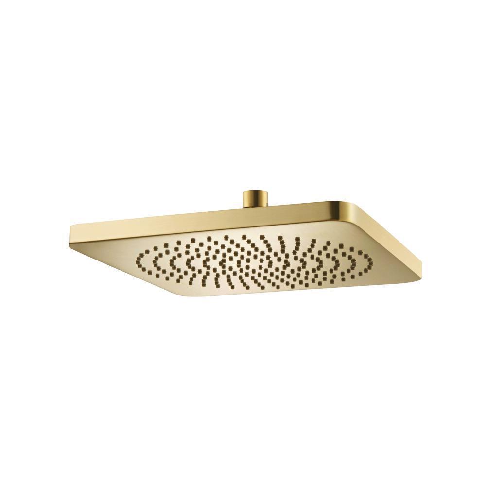10" Solid Brass Showerhead / Rainhead | Satin Brass PVD