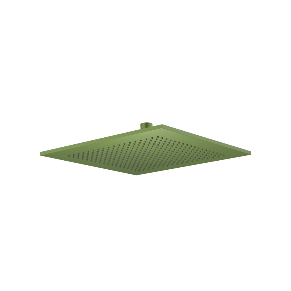 12" Solid Brass Showerhead / Rainhead | Isenberg Green