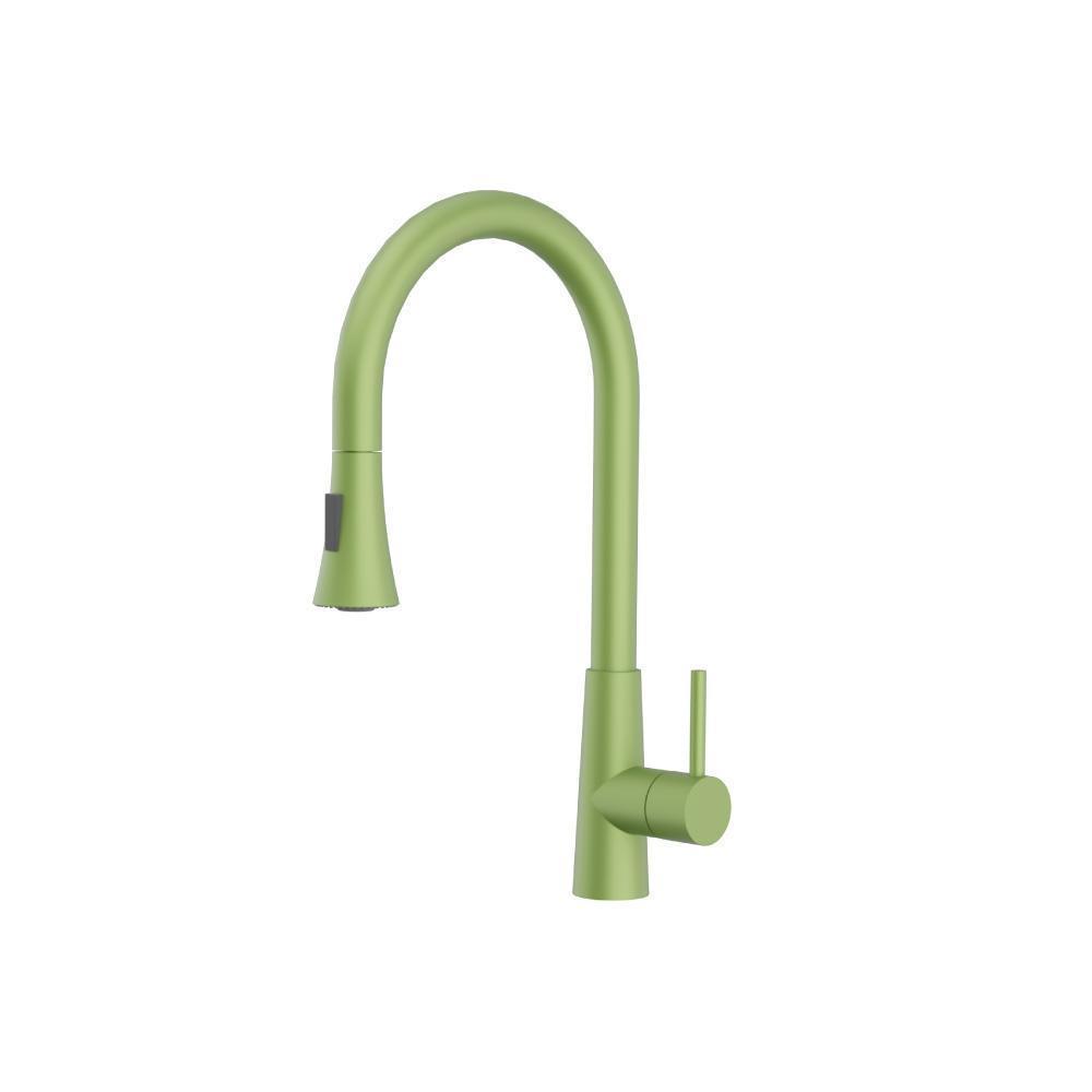 Zest - Dual Spray Stainless Steel Kitchen Faucet With Pull Out | Isenberg Green