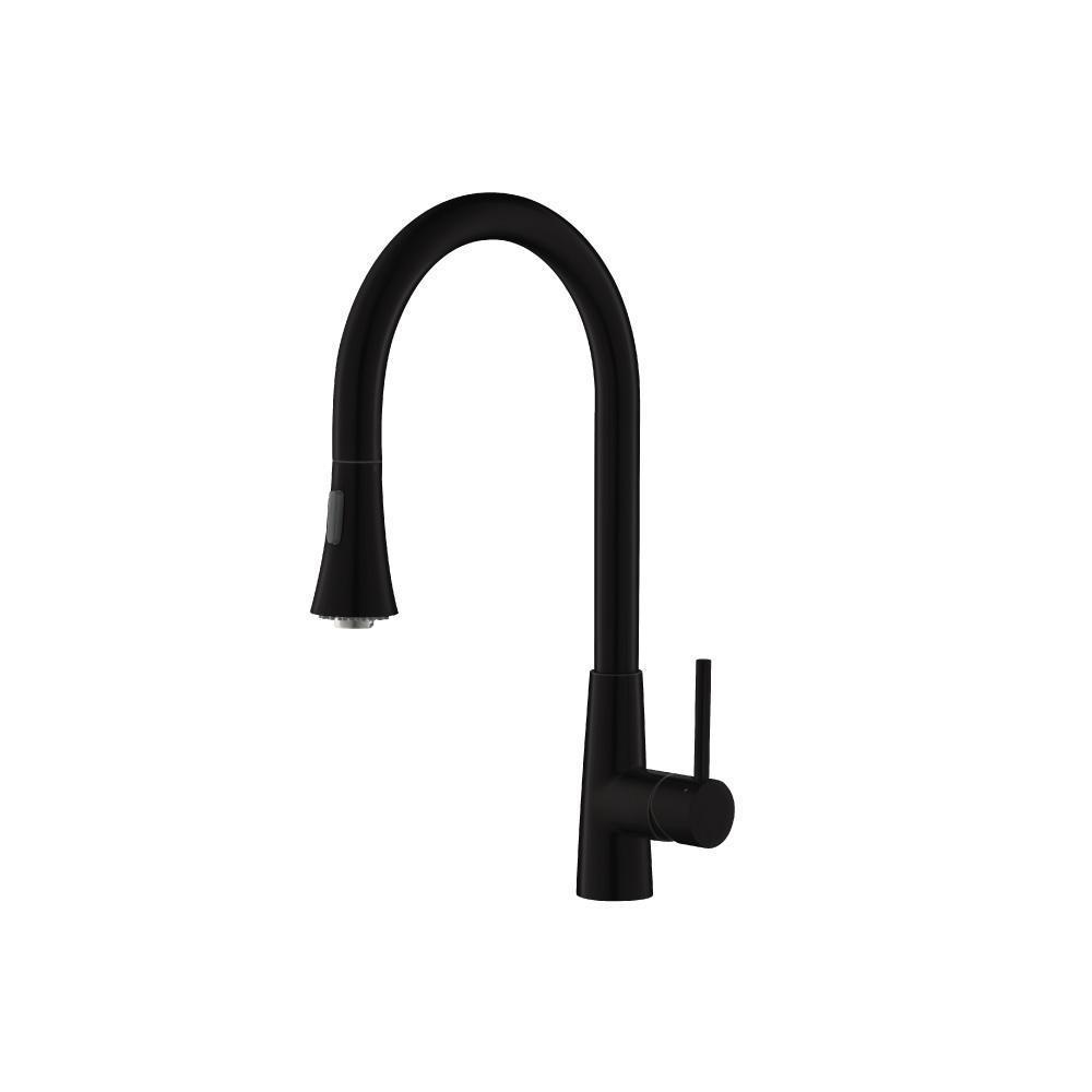 Zest - Dual Spray Stainless Steel Kitchen Faucet With Pull Out | Matte Black