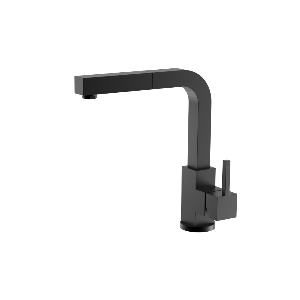 Deus - Dual Spray Stainless Steel Kitchen Faucet With Pull Out | Gloss Black