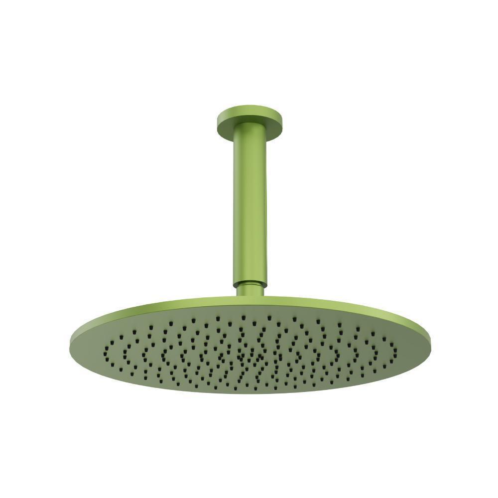 12" Rain Head with 6" Ceiling Mount Arm | Isenberg Green