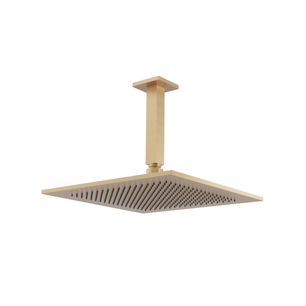 12" Rain Head with 6" Ceiling Mount Arm | Brushed Bronze PVD