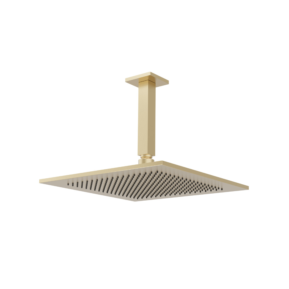 12" Rain Head with 6" Ceiling Mount Arm | Satin Brass PVD