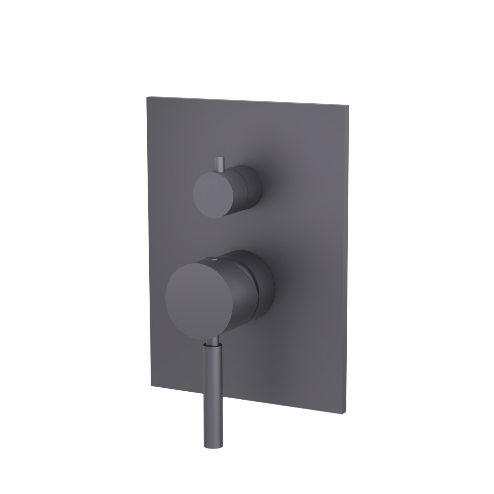 Tub / Shower Trim - 2-Output | Dark Grey