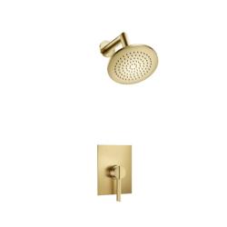 Single Output Shower Set With Brass Shower Head & Arm