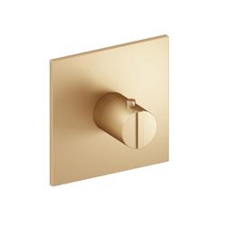 3/4" Thermostatic Valve With Trim