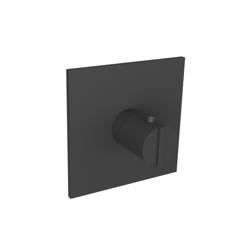 3/4" Thermostatic Valve With Trim