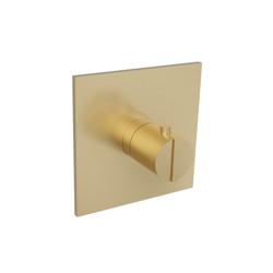 3/4" Thermostatic Valve With Trim