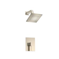 Single Output Shower Set With Brass Shower Head & Arm