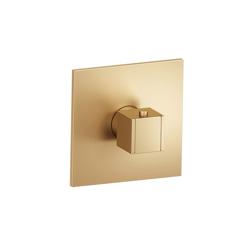 3/4" Thermostatic Valve With Trim